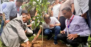 ডুলাহাজারা সাফারি পার্কে বৃক্ষরোপণ কর্মসূচির উদ্বোধন করলেন প্রধানমন্ত্রী